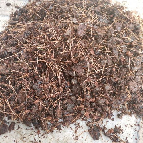 如何提高土壤透气性？效果可持续吗