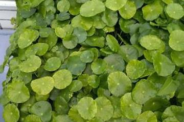 准备工具和材料