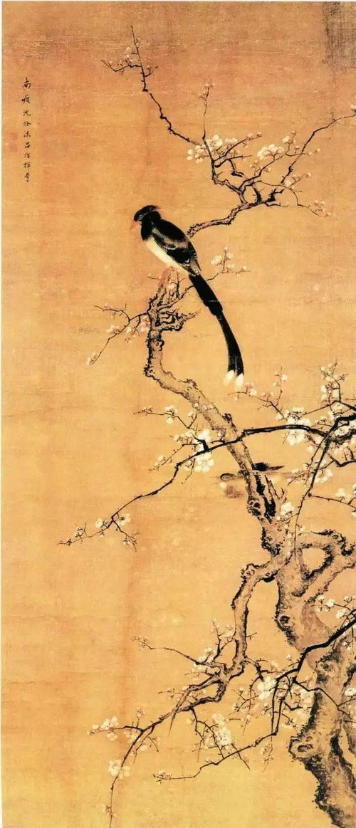 梅花图，老梅枝干遒劲