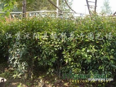 相互影响：和谐共生