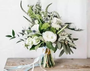 一、那些开花爆盆的明星花儿