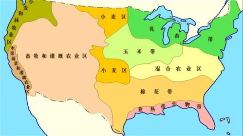 美国人在新疆种蓝莓，面临气候、土壤等挑战