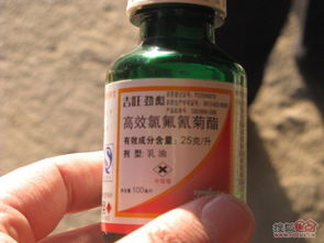 菊酯农药与蔬菜种植：你Neng驾驭这把“双刃剑”吗？