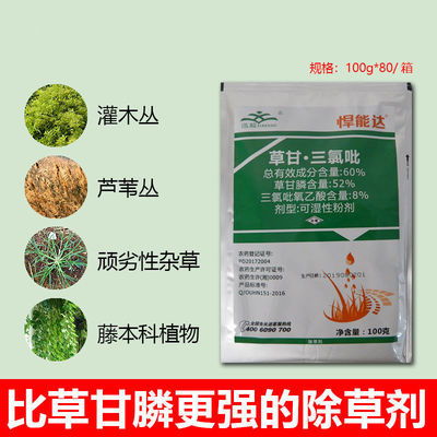 乙草胺的作用机理