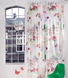 空气凤梨门帘：爆款花卉窗帘，易养制作快！