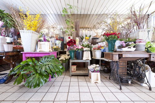 七、 技术要点与流程设计