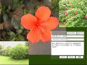 不仅仅是识别， 还有养护知识分享