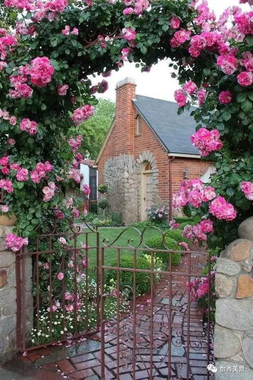 蔬菜种植时间表、各类蔬菜种植时间、蔬菜什么时候种