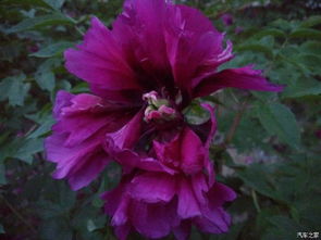 知名论坛，学习交流