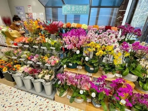 盆花生意起步方法