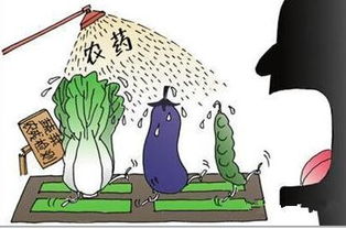 农药的长期接触危害