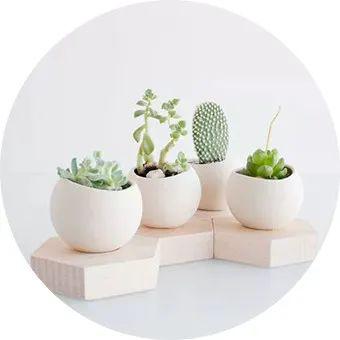 一、豆浆浇花，营养又环保