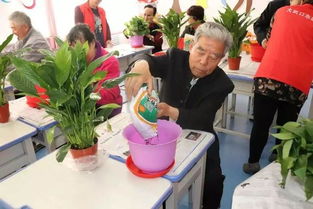 婴儿栽花不疼拆分法，如何让宝宝快乐体验