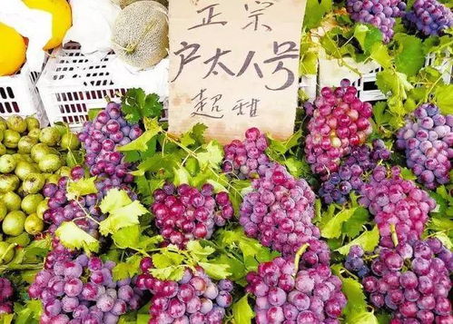 如何挑选户太八号葡萄？果农教你几个小窍门