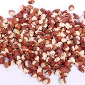 花豆的秘密：是哪种植物的种子呢？