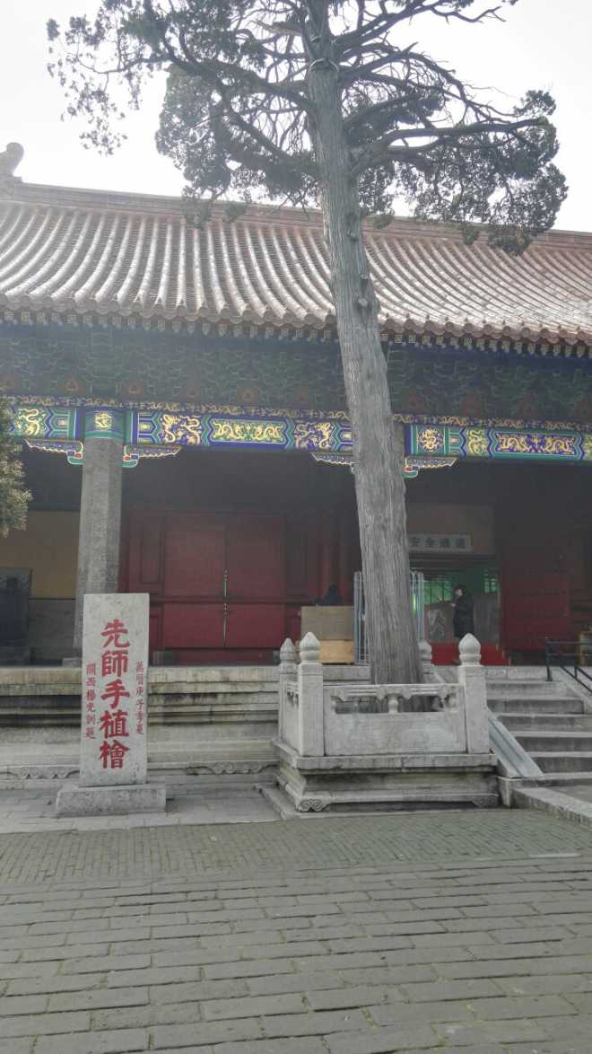 桧树与孔子的故事