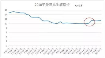 极端天气频发，生猪供应受影响
