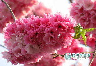 注意事项，你们得知道哦！