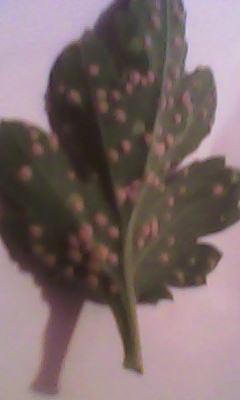 药物量与浓度，精确掌控