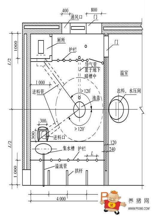 猪舍建造关键技术：环保节能与结构稳固