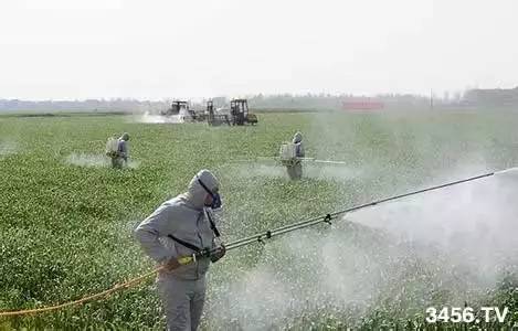 大新植保站抖音分享：经典港剧、 古装电视剧解说知识分享与娱乐并行