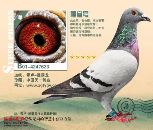 百菌清：听起来高大上的名字