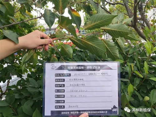 十月园林养护管理的必备措施