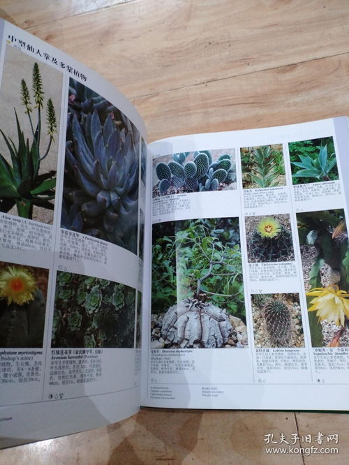 植物百科图画大全：知识的宝库