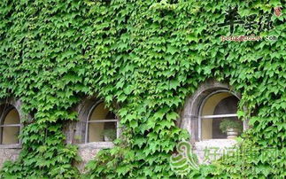 第一步：选个好地方