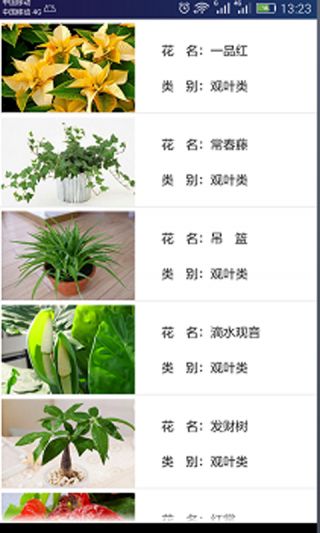 绿植批发平台app， 绿植爱好者的天堂