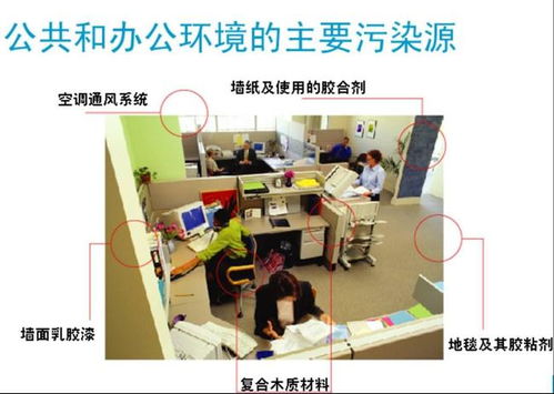 快来kankan，除甲醛这事儿怎么办？