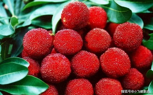 Q：催芽要花钱买设备吗？