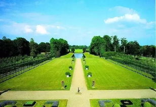 苗圃，生命的摇篮