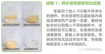 广西茶油产地揭秘：天然健康，品质卓越