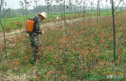 农药种类多，选对是关键
