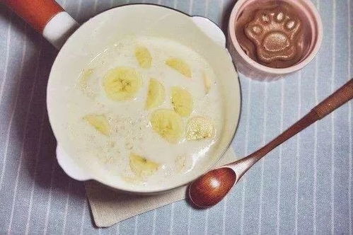 杀虫剂大比拼，哪种最适合你？