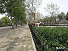 园林城市建设中的平安隐患：那些被忽视的角落