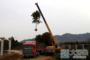 精品园区引领产业发展