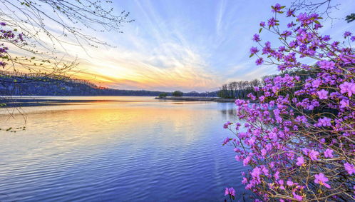 江边秋天的美景与植物的秘密