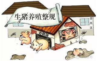 畜牧用药，禁忌分明