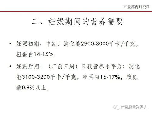 冬春母猪妊娠期科学饲养管理