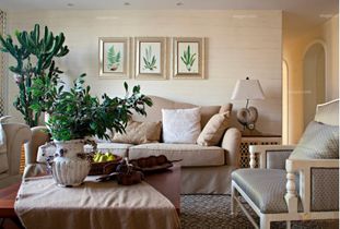 植物色彩搭配的奥秘