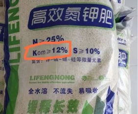 二胺是氮肥？看完这篇你就知道了
