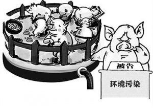 猪场臭气治理，邻里和谐之道