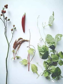 霍克尼的自然世界：纯真无瑕的风景