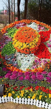 花坛绿色草本植物选择全攻略