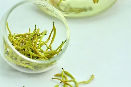 金银花泡水喝，能清热解毒吗