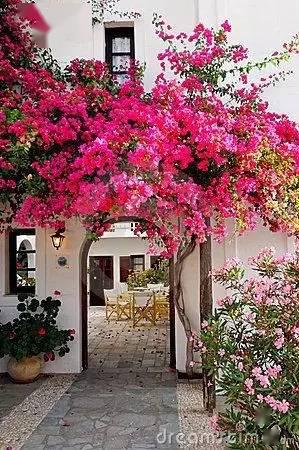 花树选择，要因地制宜