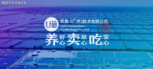 智慧渔业循环水养殖：利弊兼有