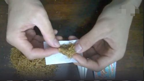 小猪水肿用什么特效药最有效？新手必看3类特效药解析？
